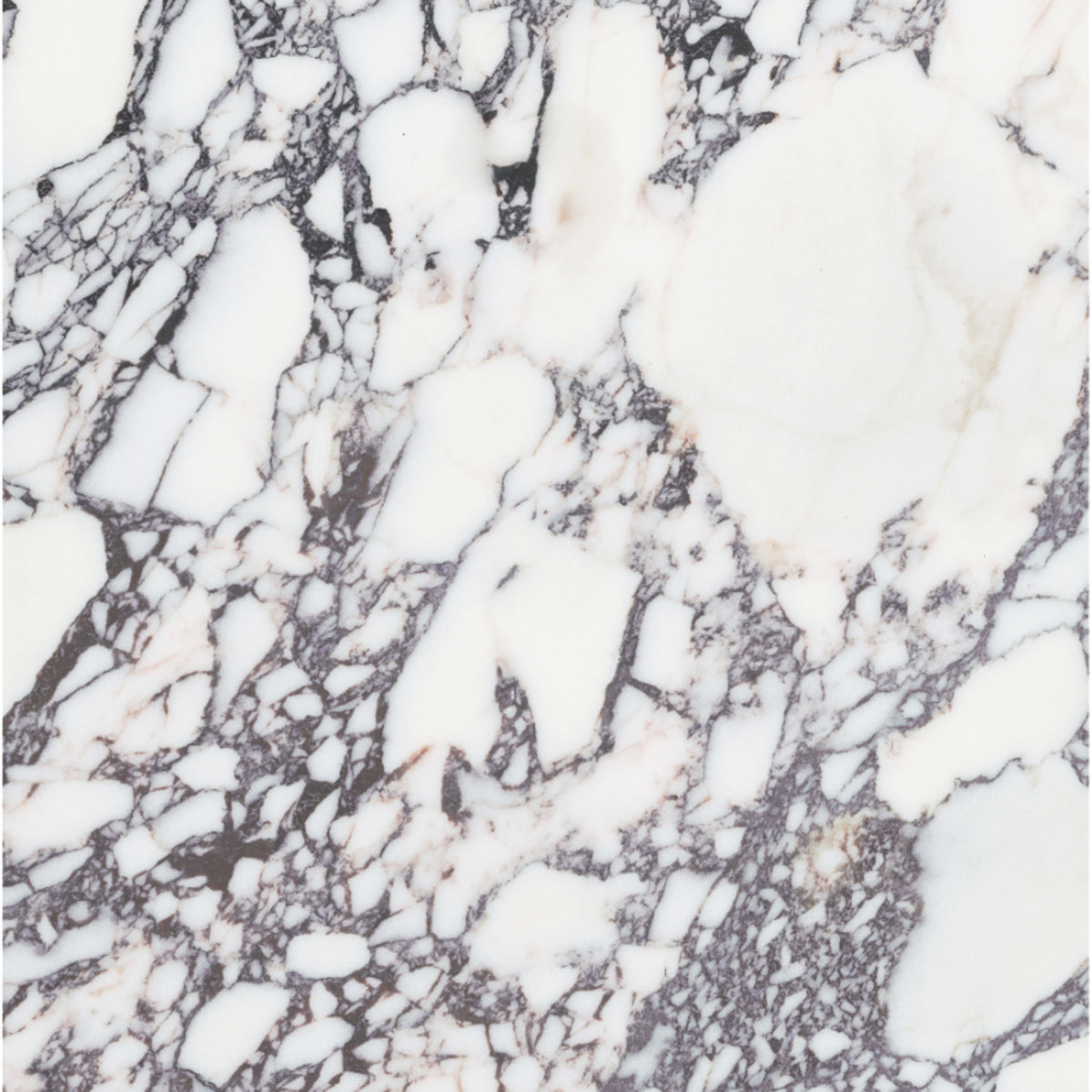 Viola Roccia in Picket Honed 24in Natural Stone