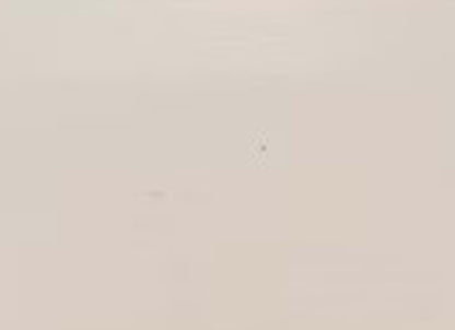 Visual Impressions in Beige Rectangle