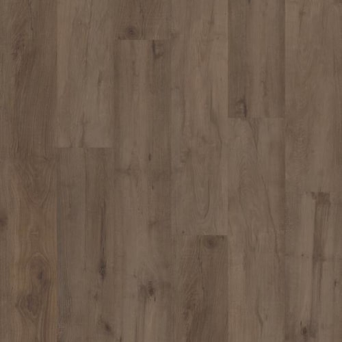 CORETEC PRO PREMIUM VV800