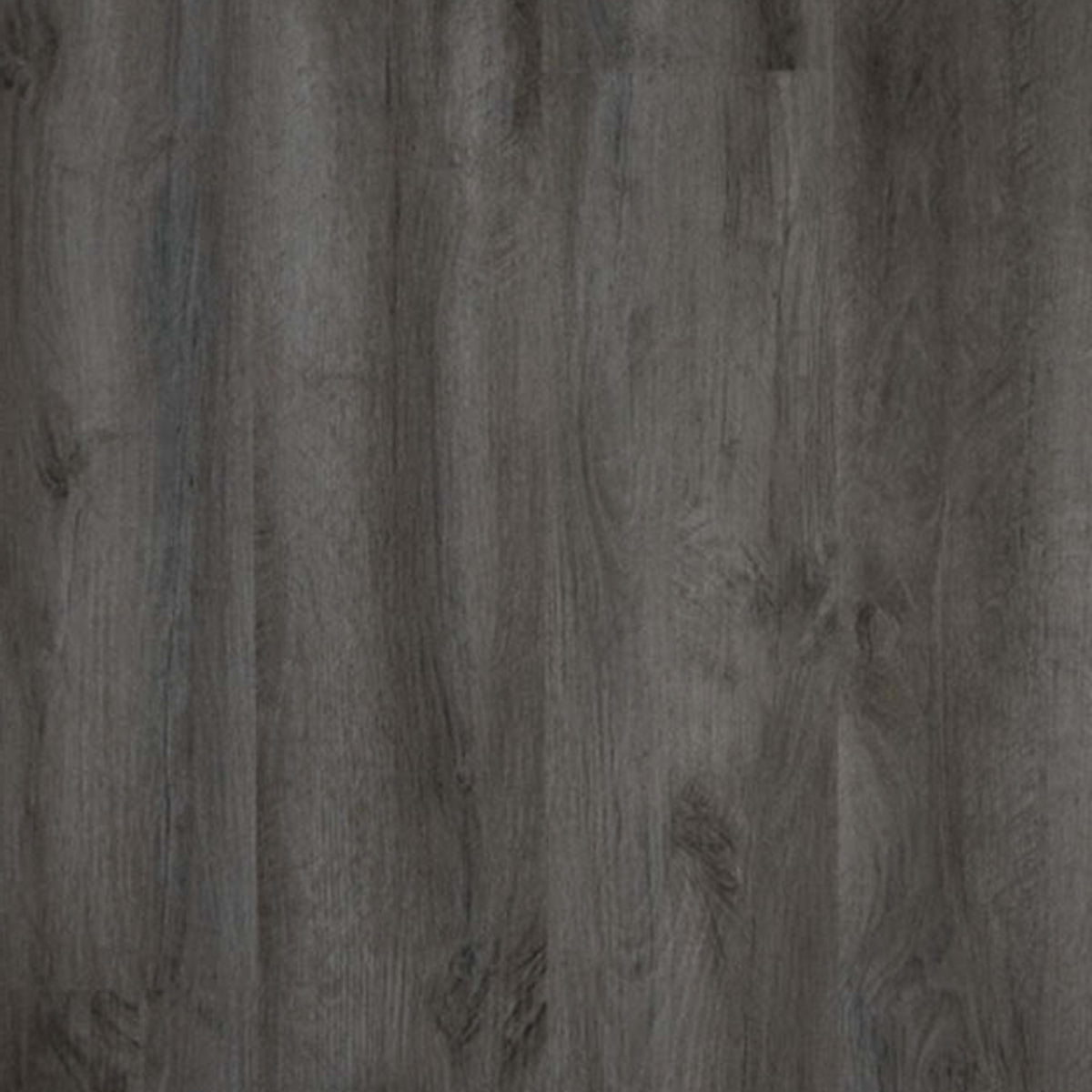 Borrowed Scenery in East End Luxury Vinyl