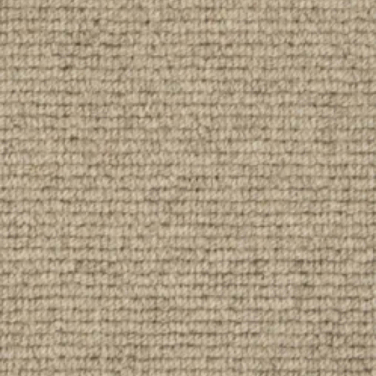 Westley in Sandbar Carpet