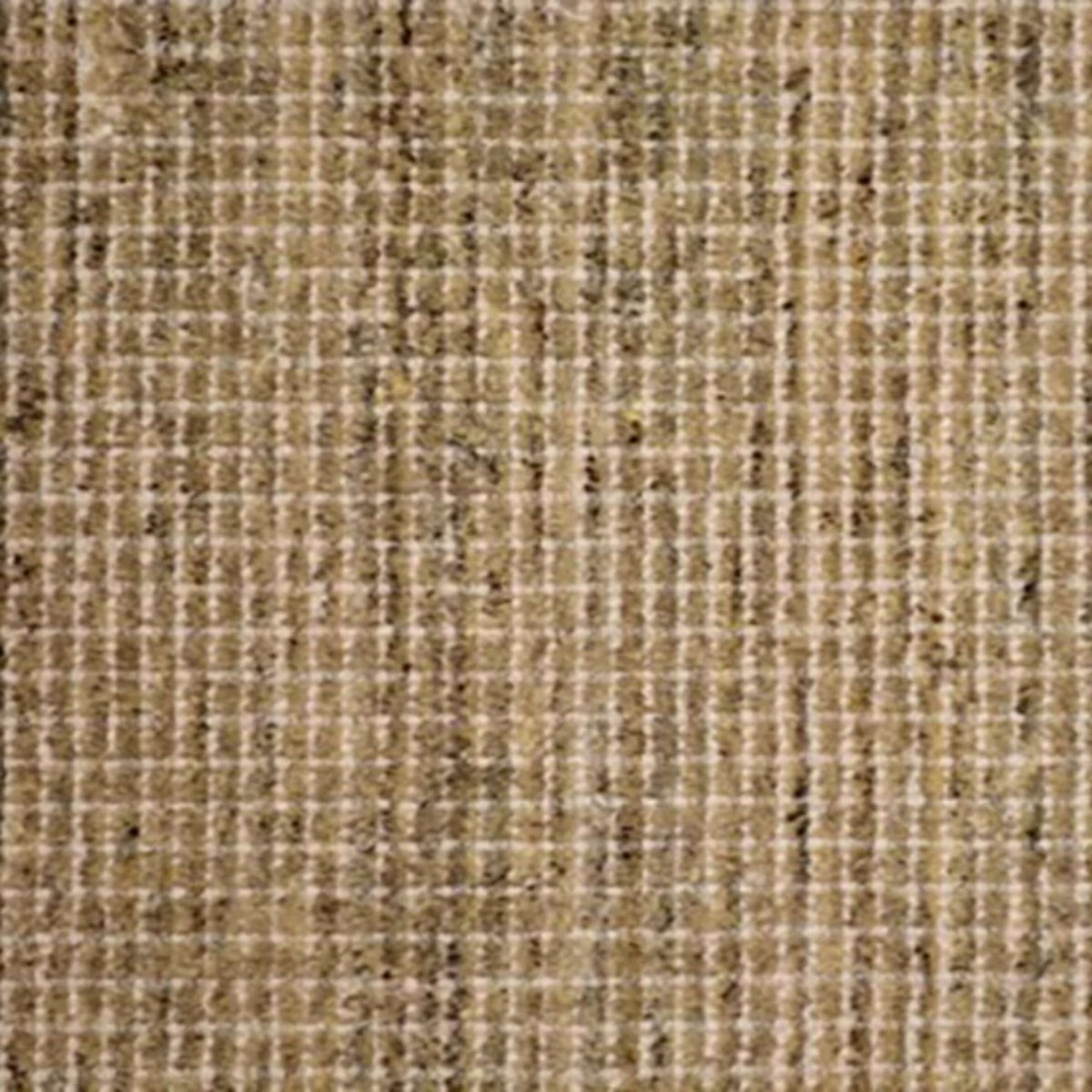 Winston (cav) in Granite Carpet