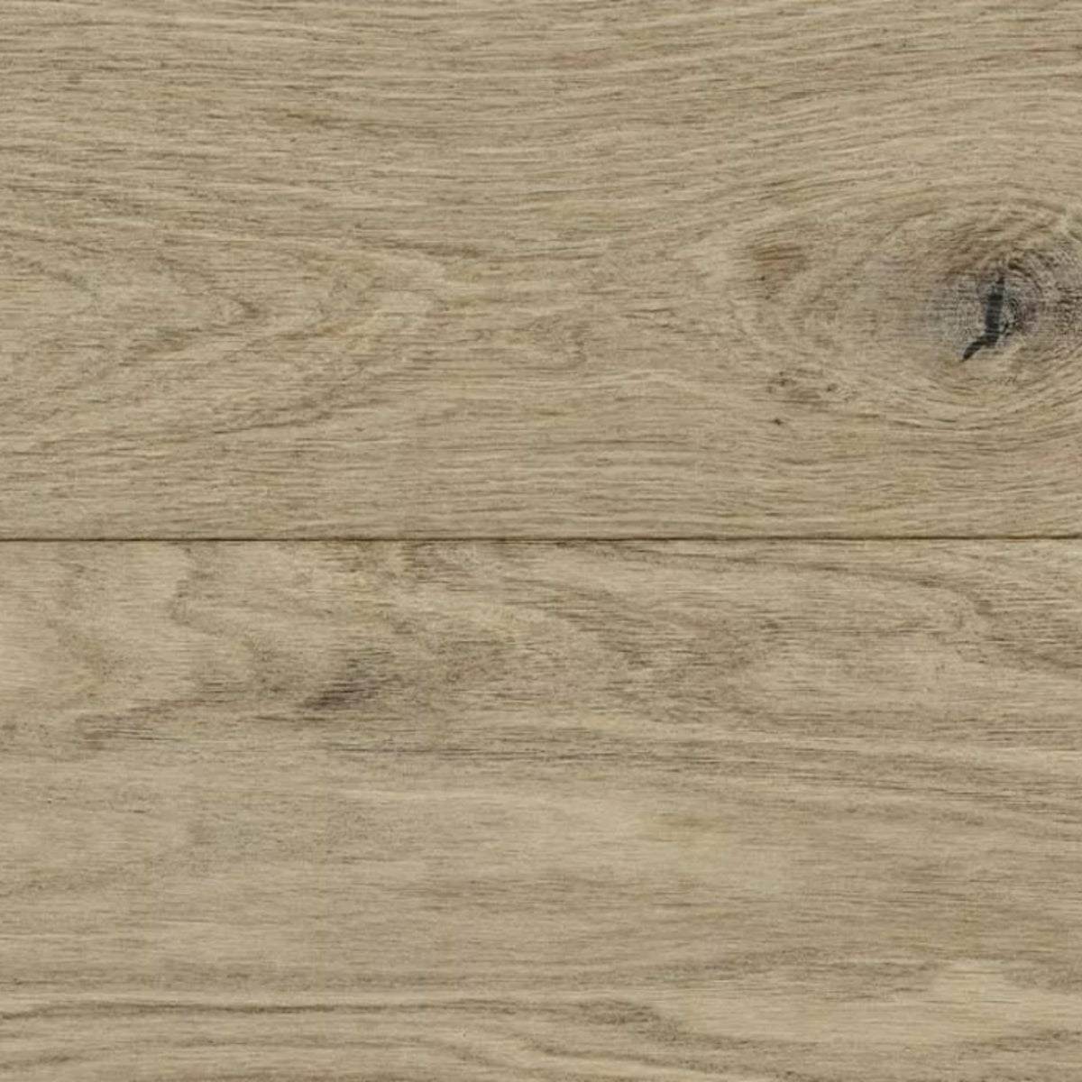 Woodland Reserve in Shoreline Hardwood