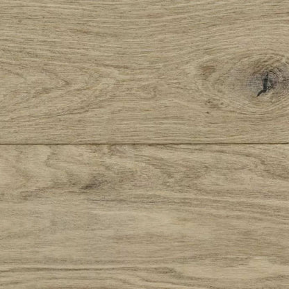 Woodland Reserve in Shoreline Hardwood