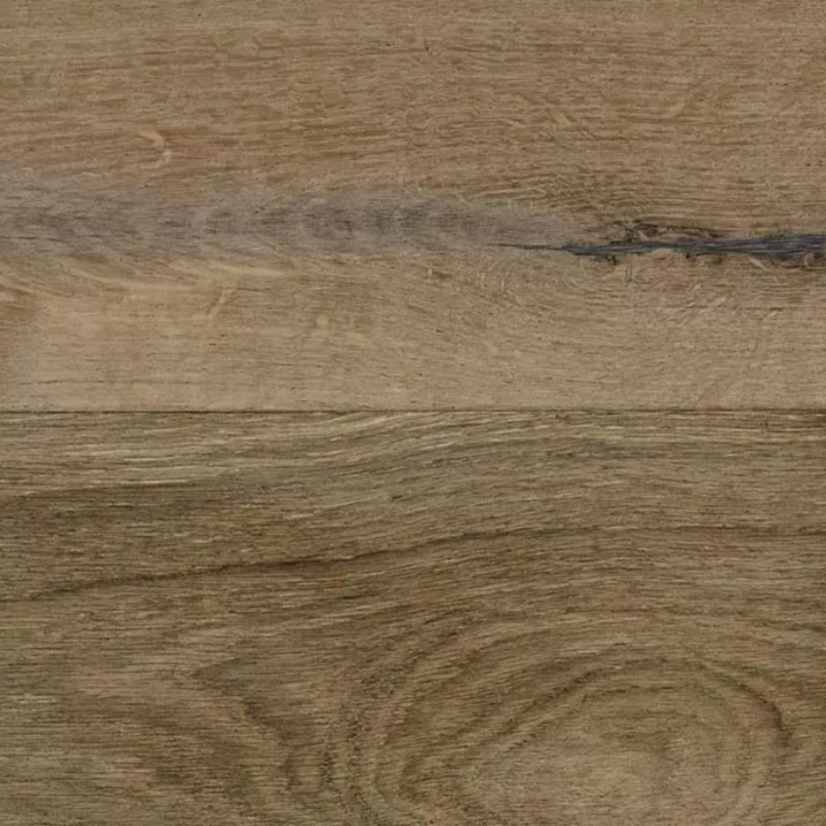 Woodland Reserve in Trailhead Hardwood