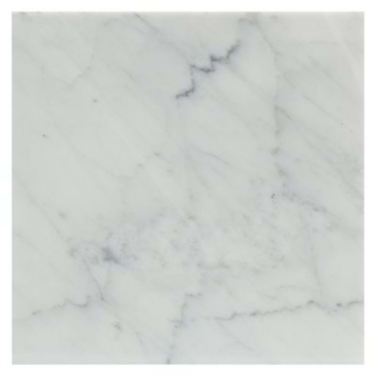 White Carrara in White Carrara ''C'' 12x12 Polished Natural Stone