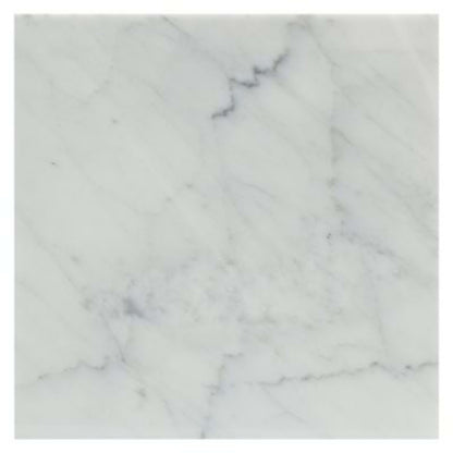 White Carrara in White Carrara ''C'' 12x12 Polished Natural Stone