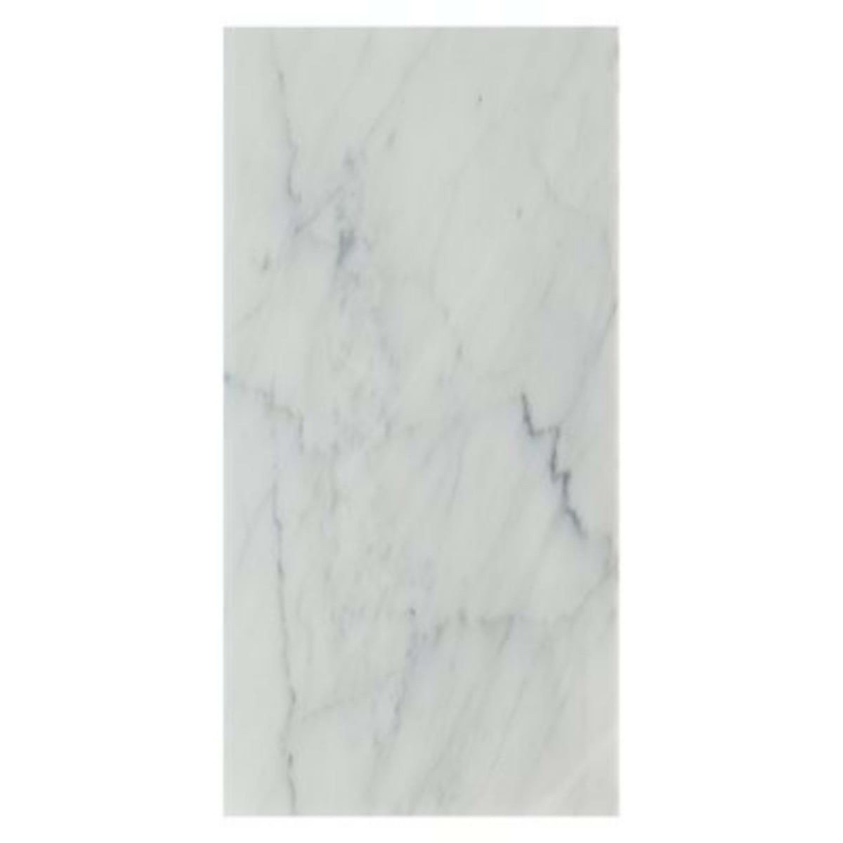 White Carrara in White Carrara ''C'' 12x24 Polished Natural Stone