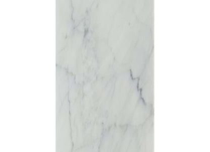 White Carrara in White Carrara ''C'' 12x24 Polished