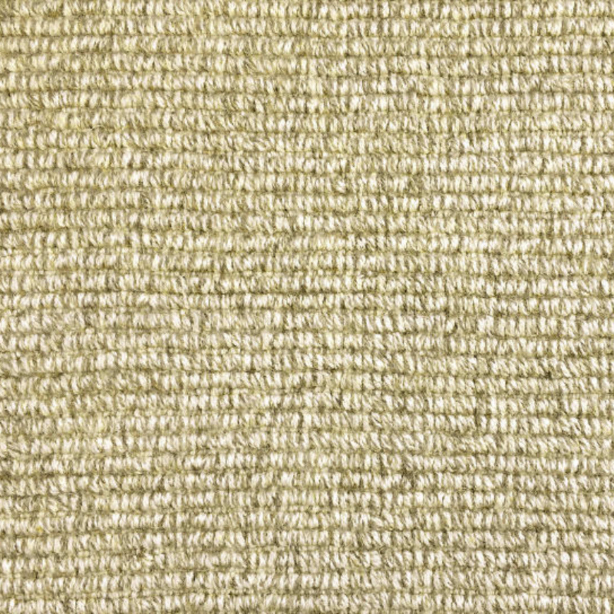 Wyoming in Greybull Carpet