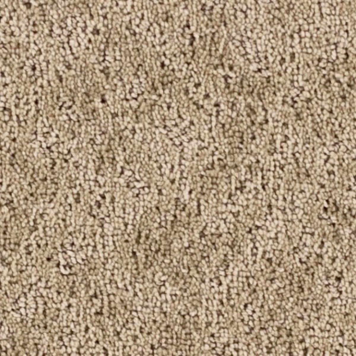 Westchester in Driftscape Carpet
