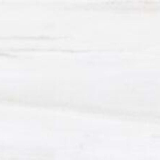 Whisteria in Bianco -12x24 Matte Tile