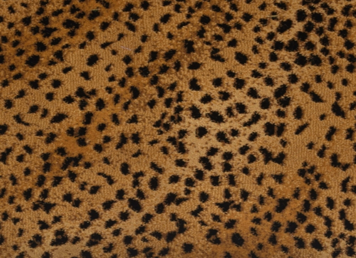 Wild Asia
