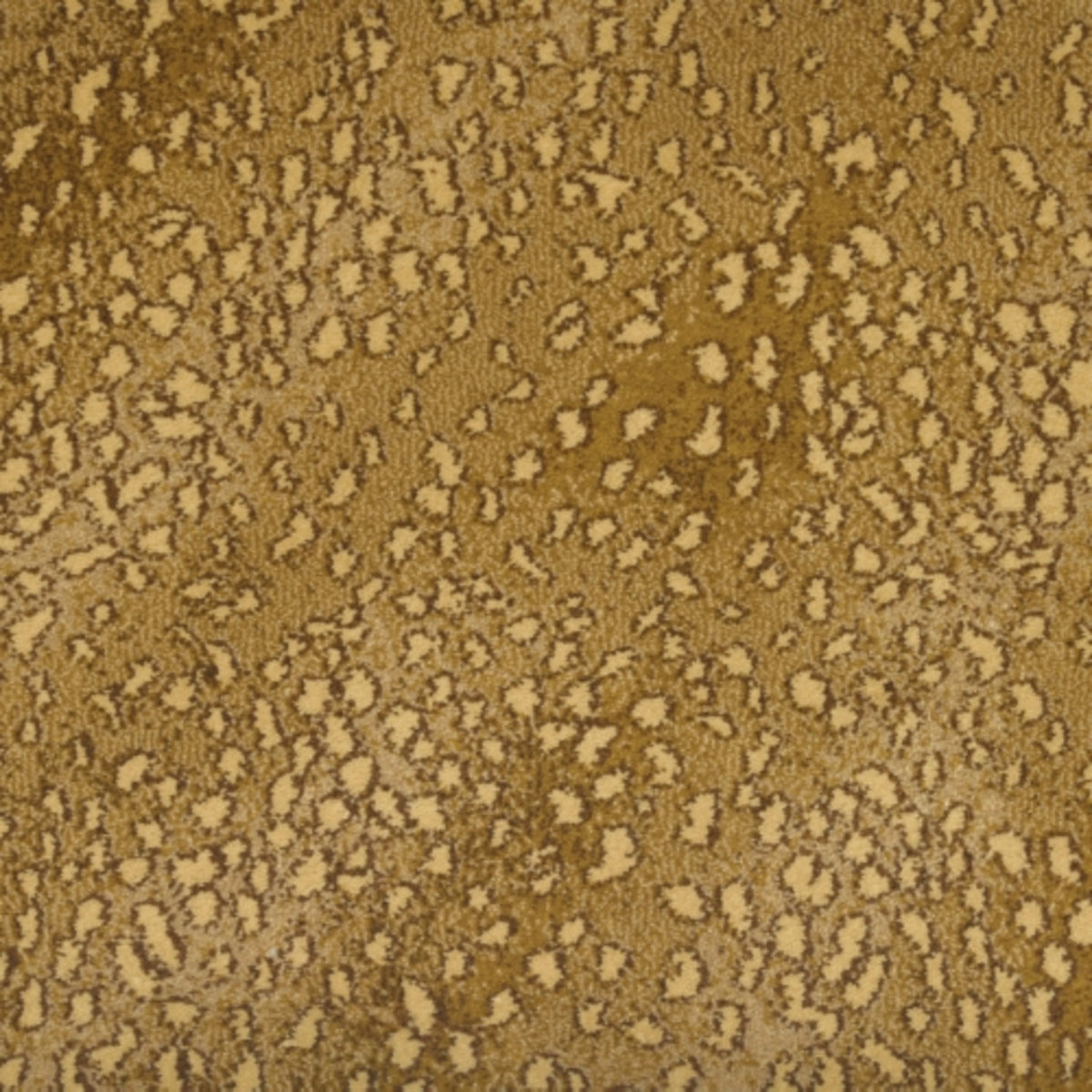 Wild Asia in Platypus 30.75 Carpet