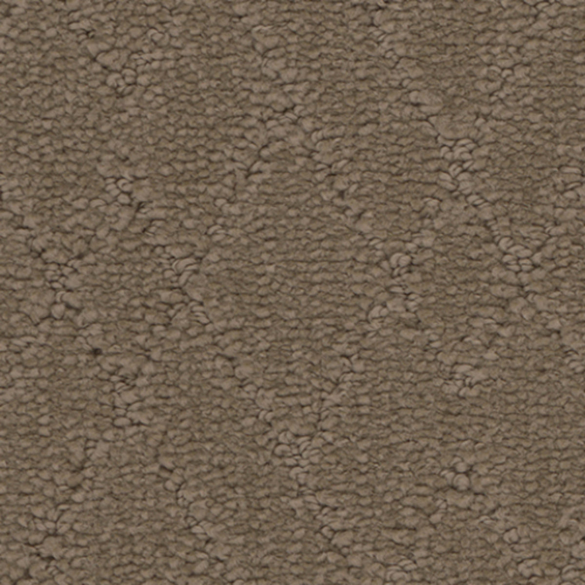 Windham in Summit Carpet