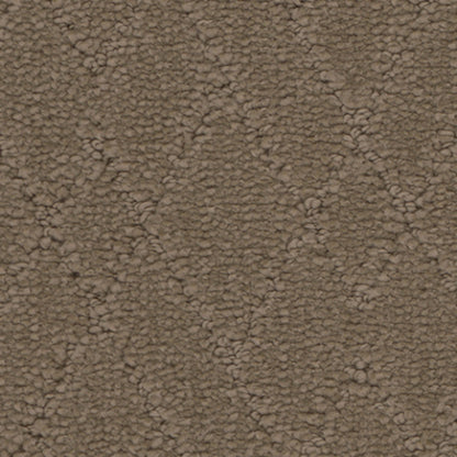 Windham in Summit Carpet