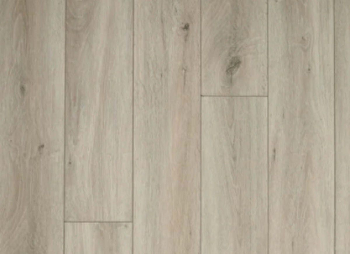 7 Series - Woodlands in Shell
