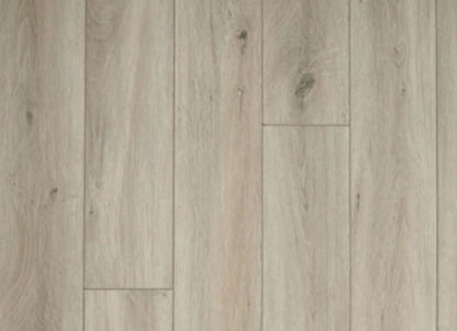 7 Series - Woodlands in Shell
