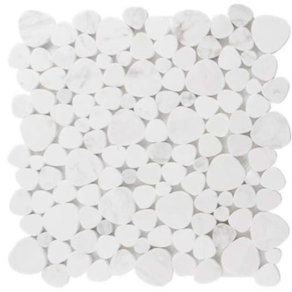 Holy Trail Pebble in Yam Hamelach Random Sizes Natural Stone