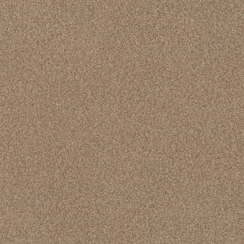 TERRA NOVA