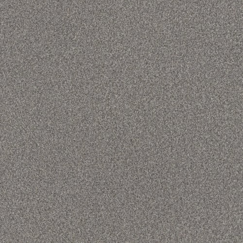 TERRA NOVA
