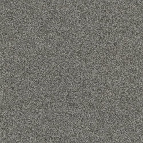 TERRA NOVA