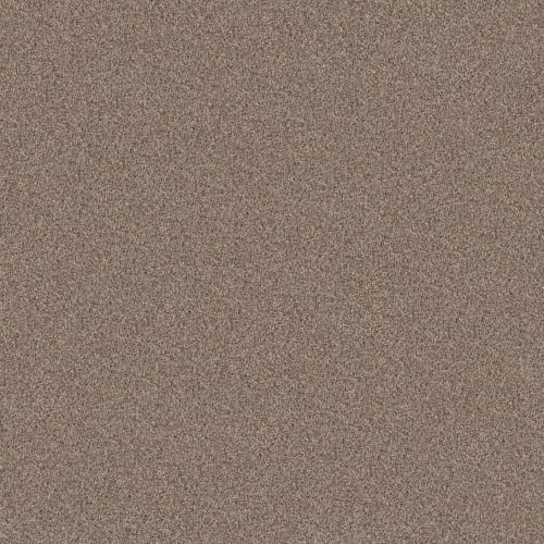 TERRA NOVA