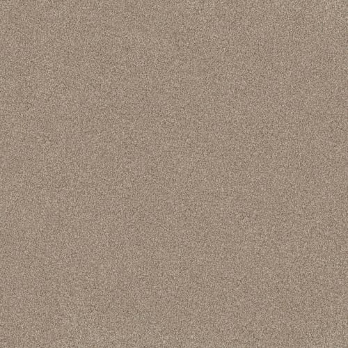 TERRA NOVA