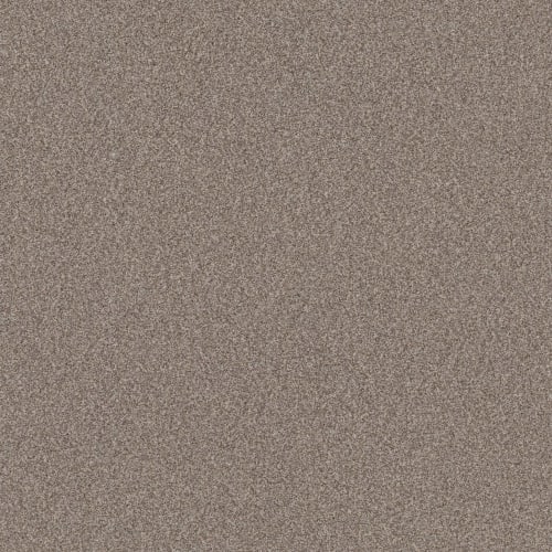 TERRA NOVA