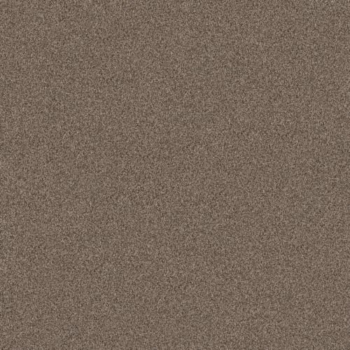 TERRA NOVA