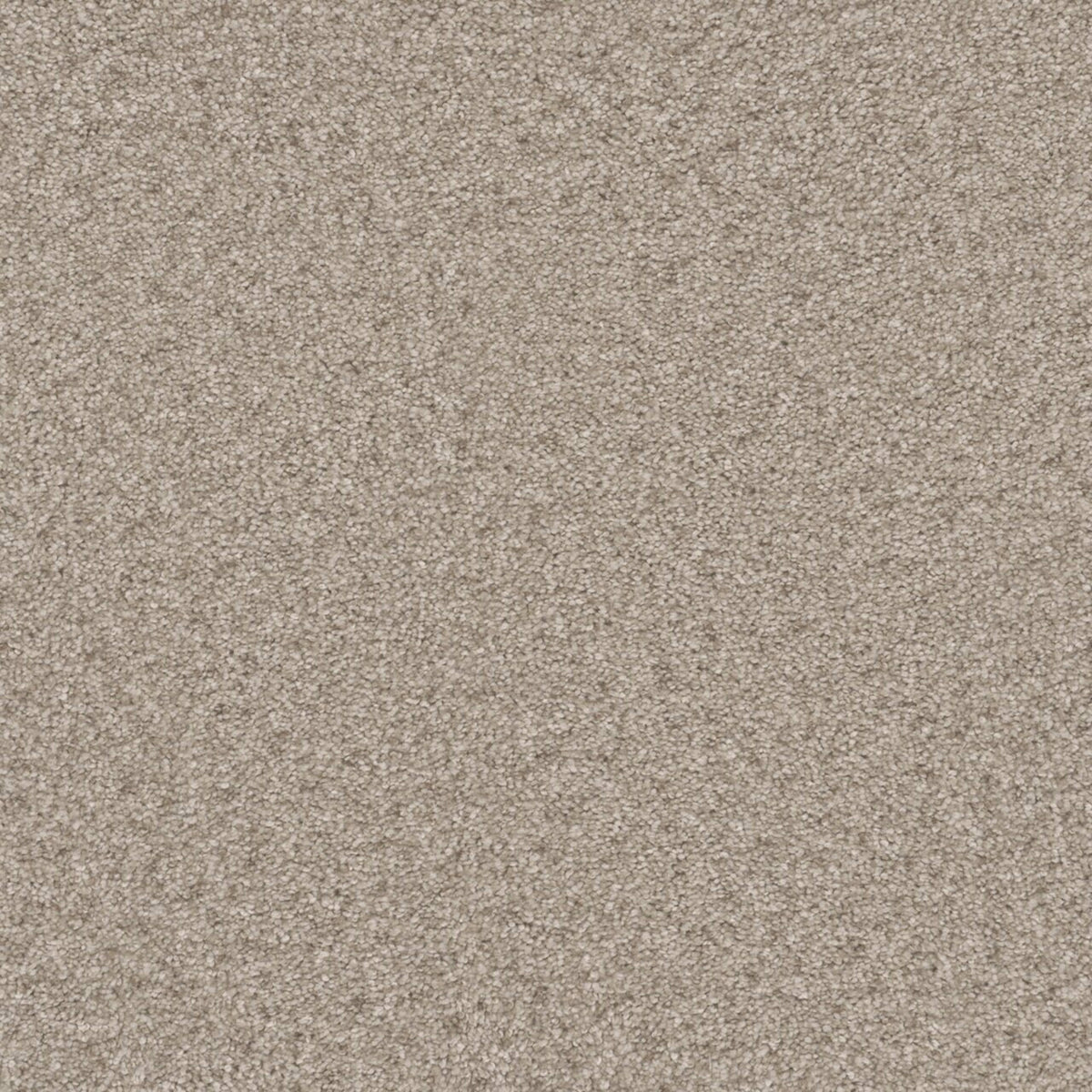 Windy City II in Zephyr Carpet
