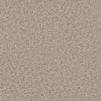 Windy City II in Zephyr Carpet