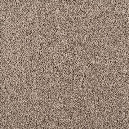 Zesty in Moleskin Carpet