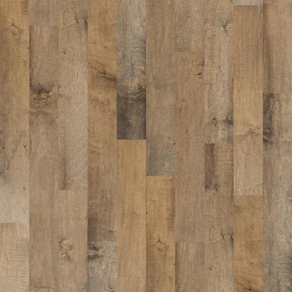 BERNINA MAPLE