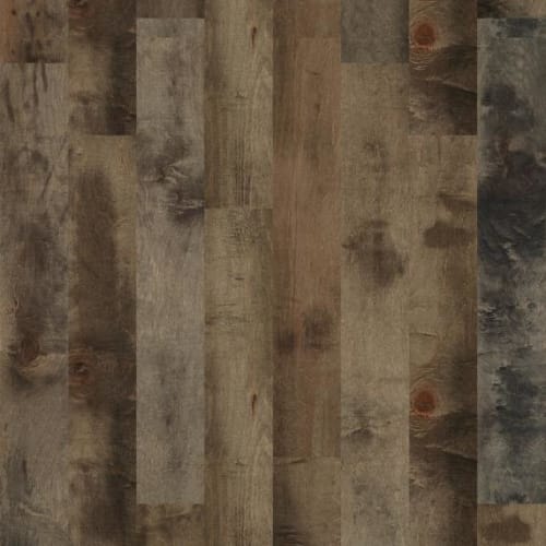 ELLISON MAPLE
