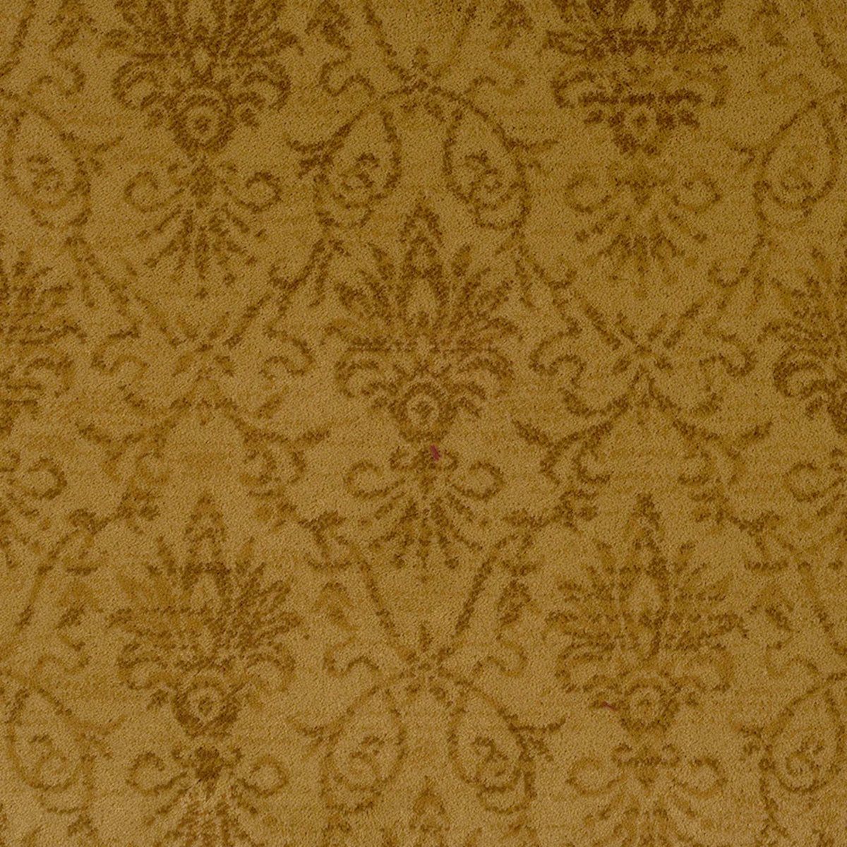 Alexander