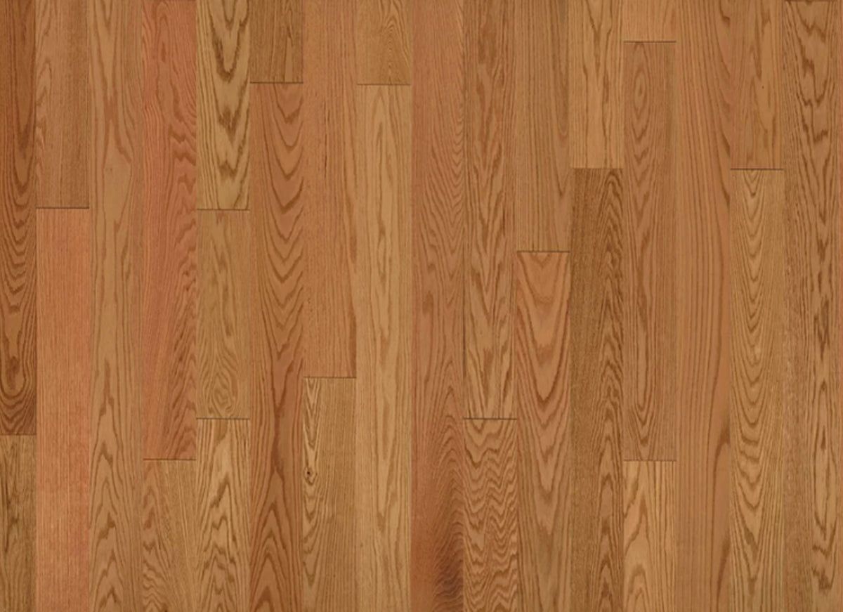 American Traditional Classics in Auburn Red Oak 3.25"