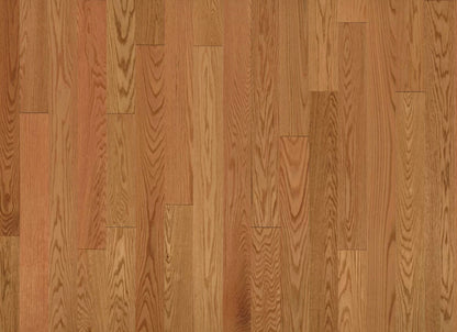 American Traditional Classics in Auburn Red Oak 3.25"
