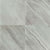 Eden in Bardiglio 24x24 Polished Tile