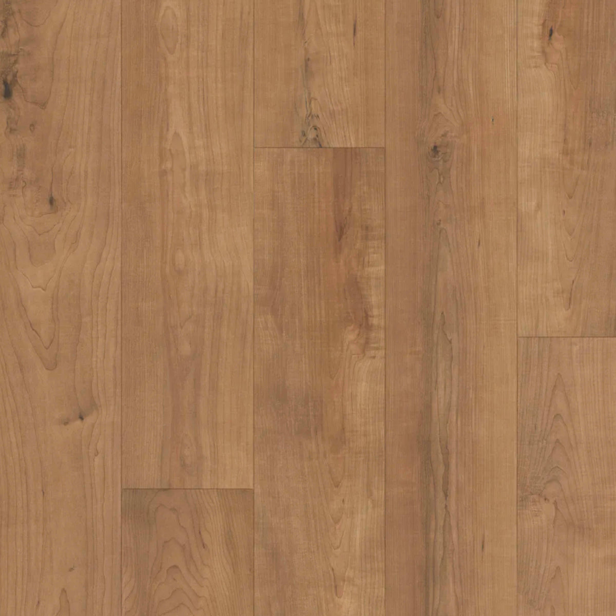 Restoration Collection - Harmony in Bento Laminate
