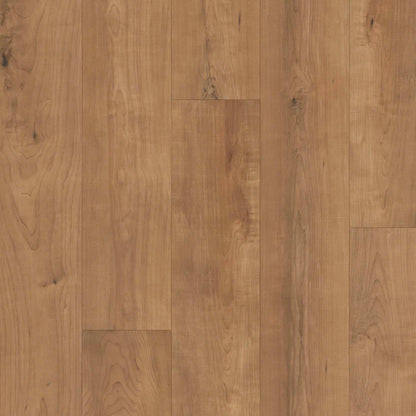 Restoration Collection - Harmony in Bento Laminate