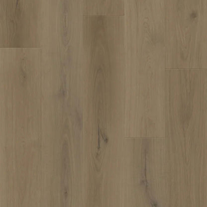 Boundless in Forest Oak Luxury Vinyl