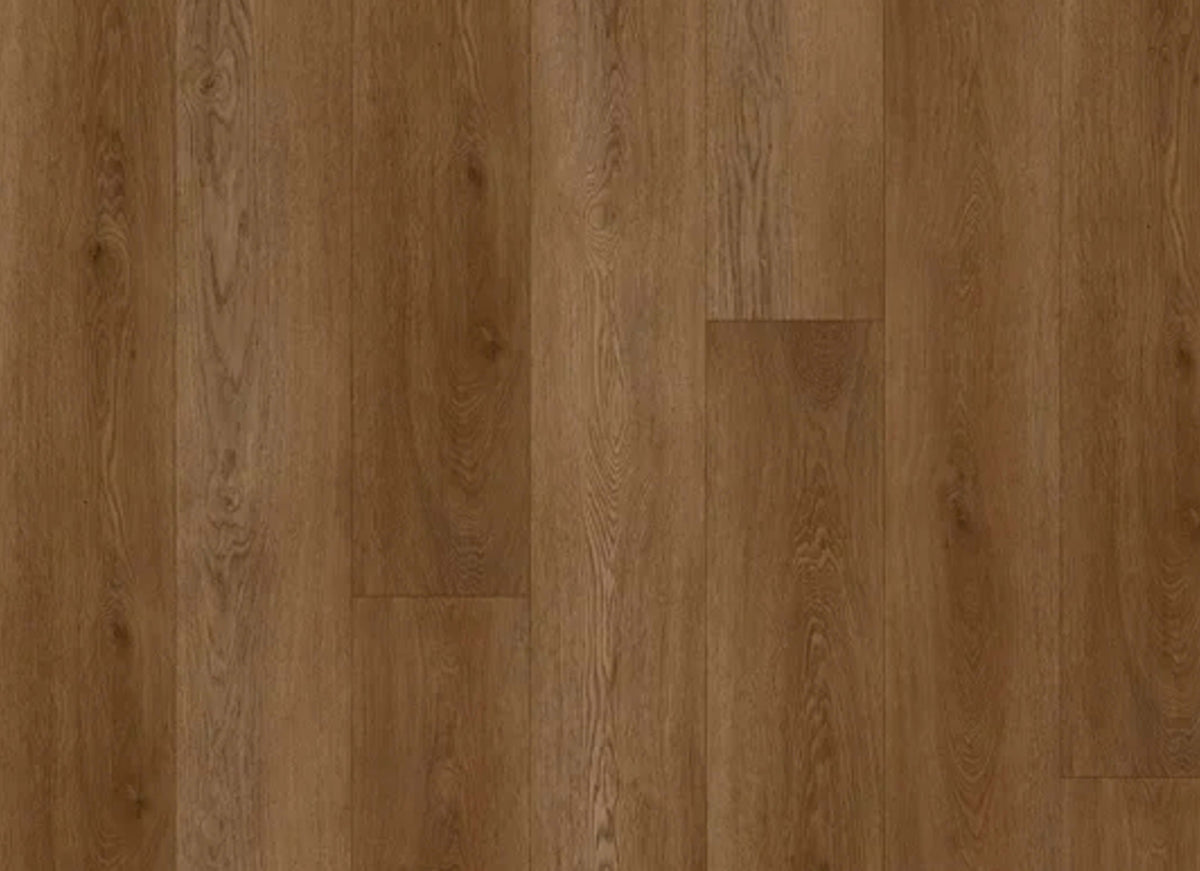 Boundless in Saddle Oak