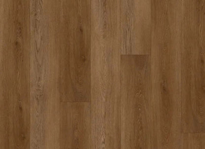Boundless in Saddle Oak