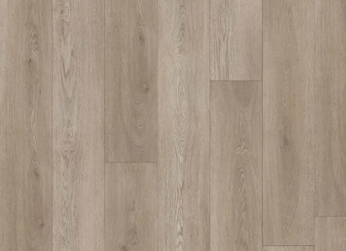 Boundless in Urban Oak