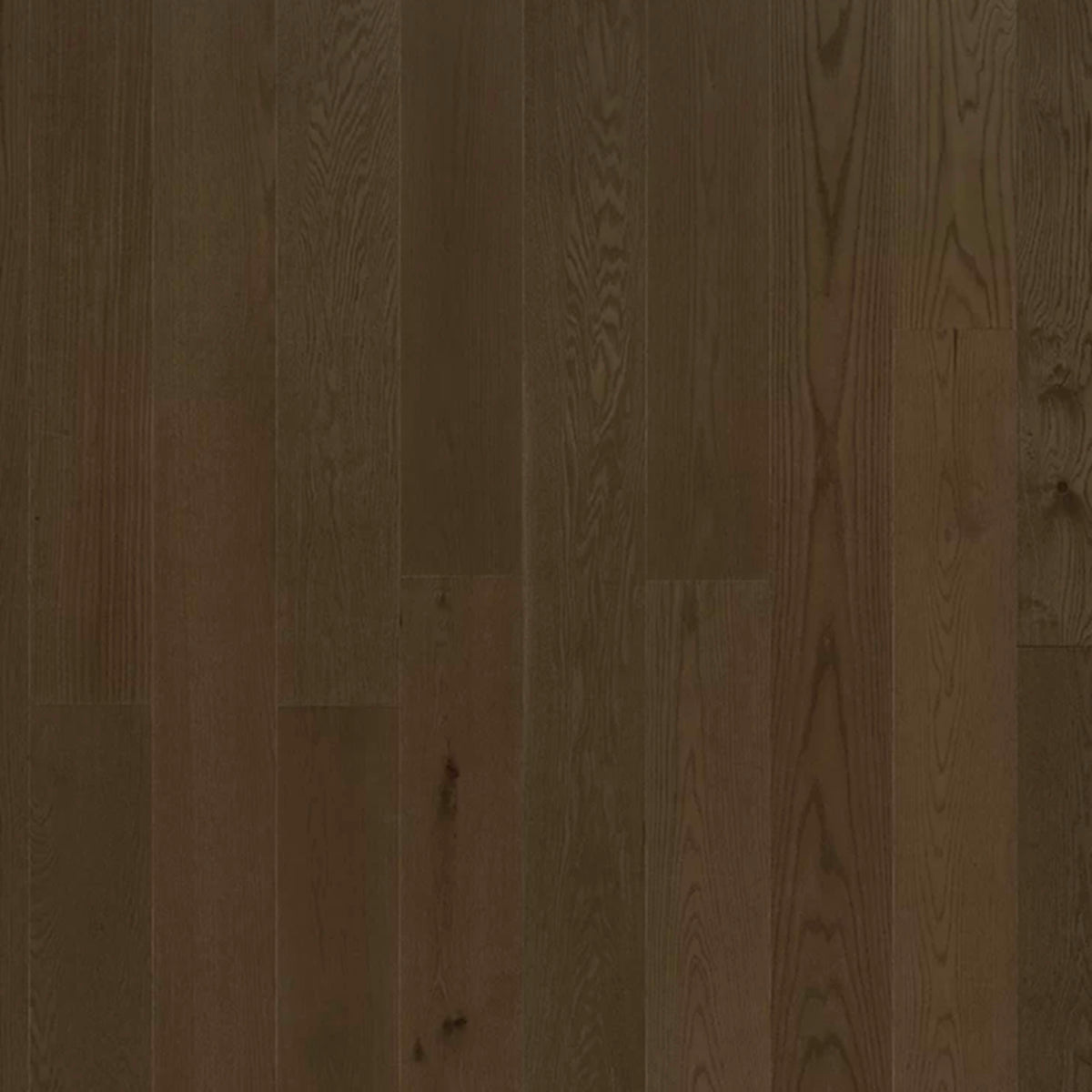 Serenity in Calm Oak Hardwood