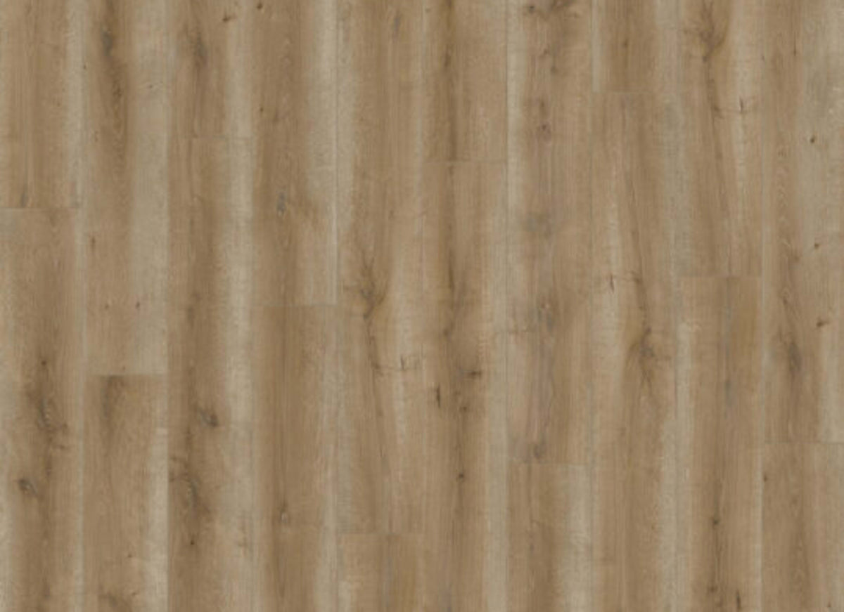 Ceramin - Sono Eclipse in Canim