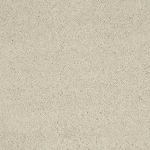 Cashmere IV