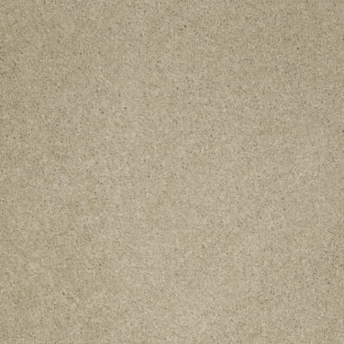 Cashmere IV