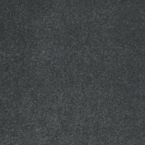 Cashmere IV